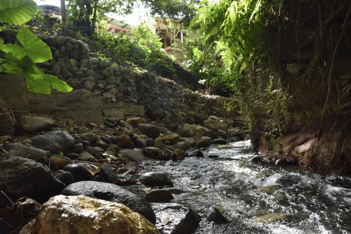 Quebrada de aguas claras